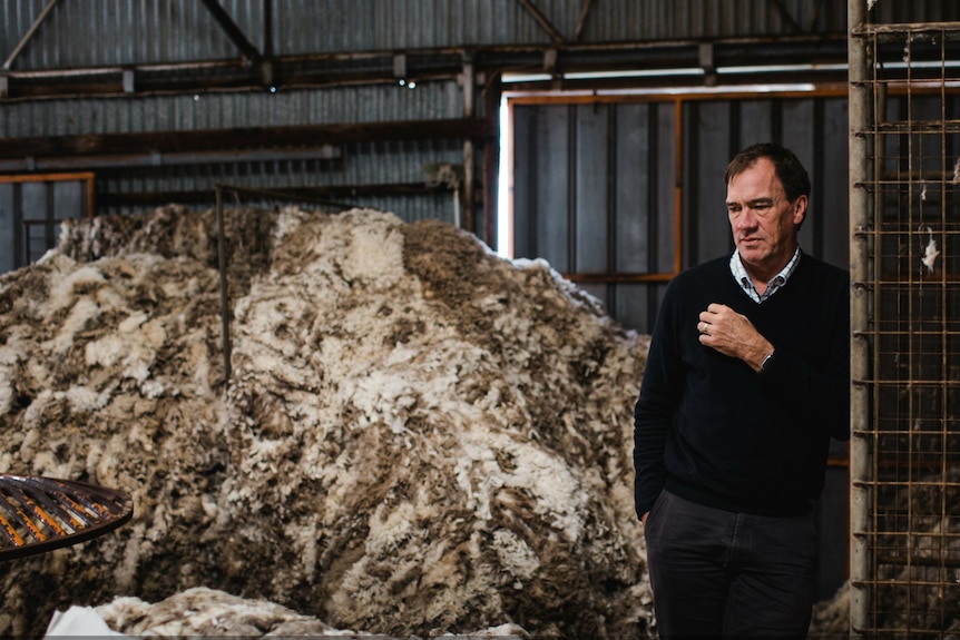 Man on right standing in shearing shed looking pensive, wool piled up on the left