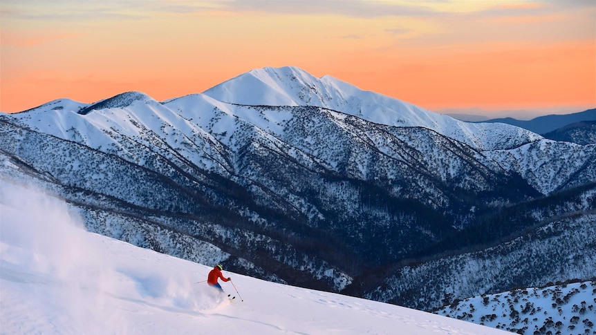 Visitor skiing at Hotham Alpine Resort