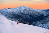 Visitor skiing at Hotham Alpine Resort