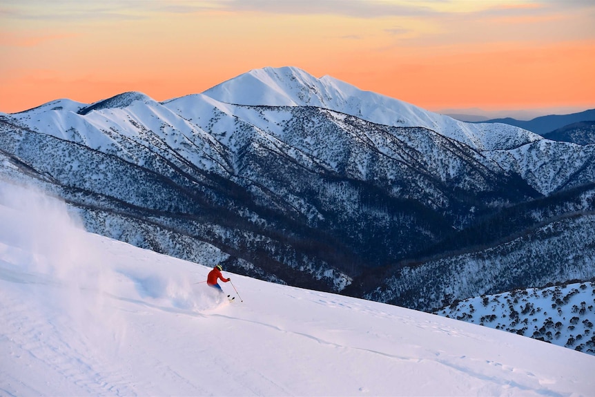 Visitor skiing at Hotham Alpine Resort