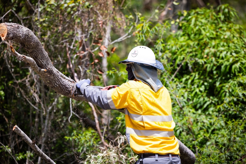 man in hi-vis using a saw to clear a tree