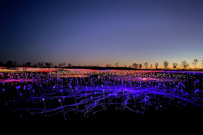 The Bruce Munro Field of Light installation is a long stretch of beautiful bright lights on the ground against a dark sky.