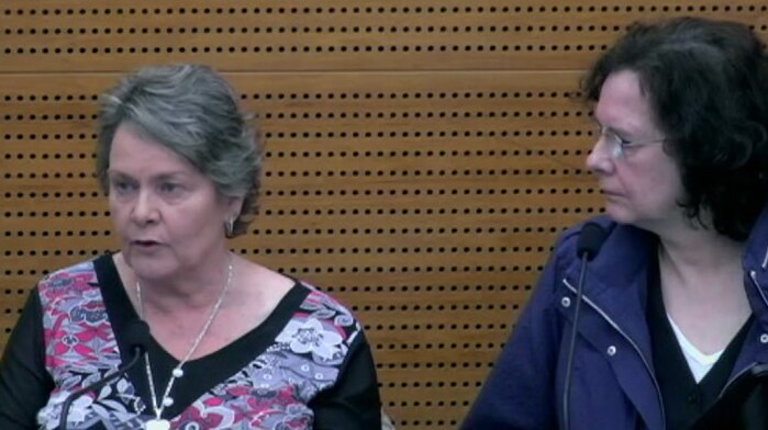 Two women sit in the witness box at the royal commission in an image taken from a webstream of a hearing.