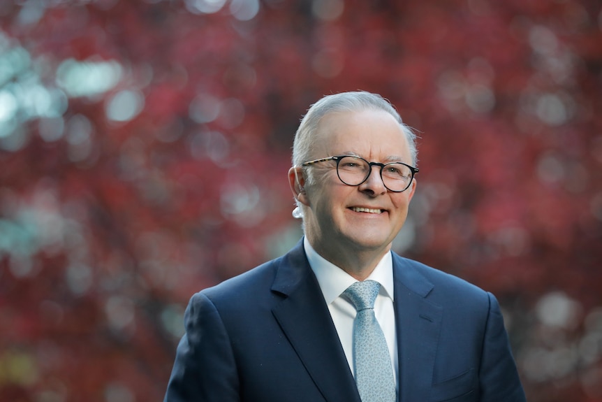 Albanese smiles on a cold morning, the autumnal red leaves of the Budget Tree creating a backdrop behind him.