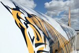 CASA has already suspended Tiger's domestic services until Saturday.