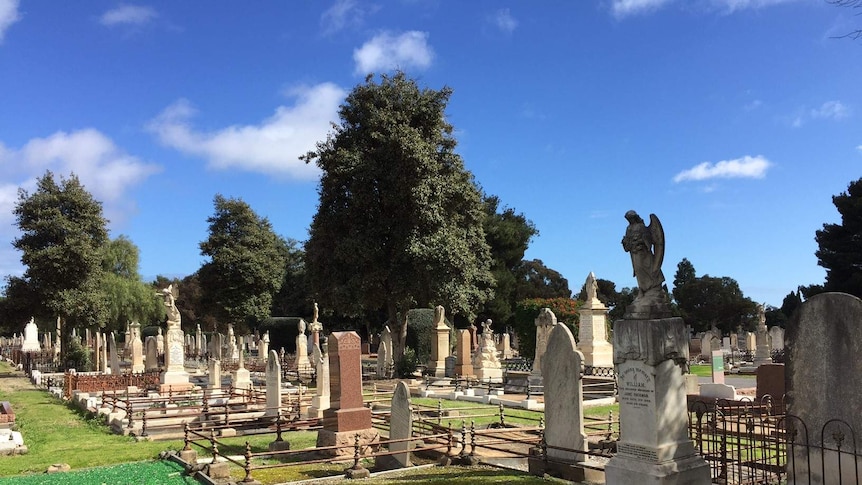A sunny day at West Terrace Cemetery in Adelaide.
