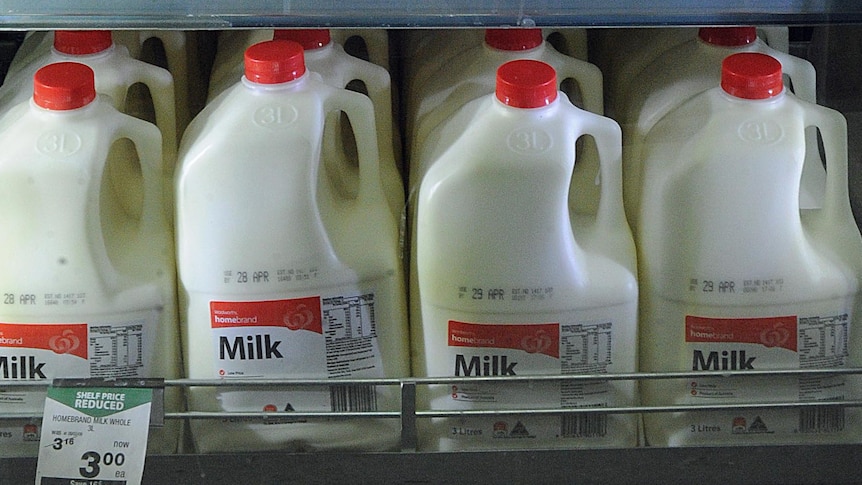 Milk on sale in supermarket.