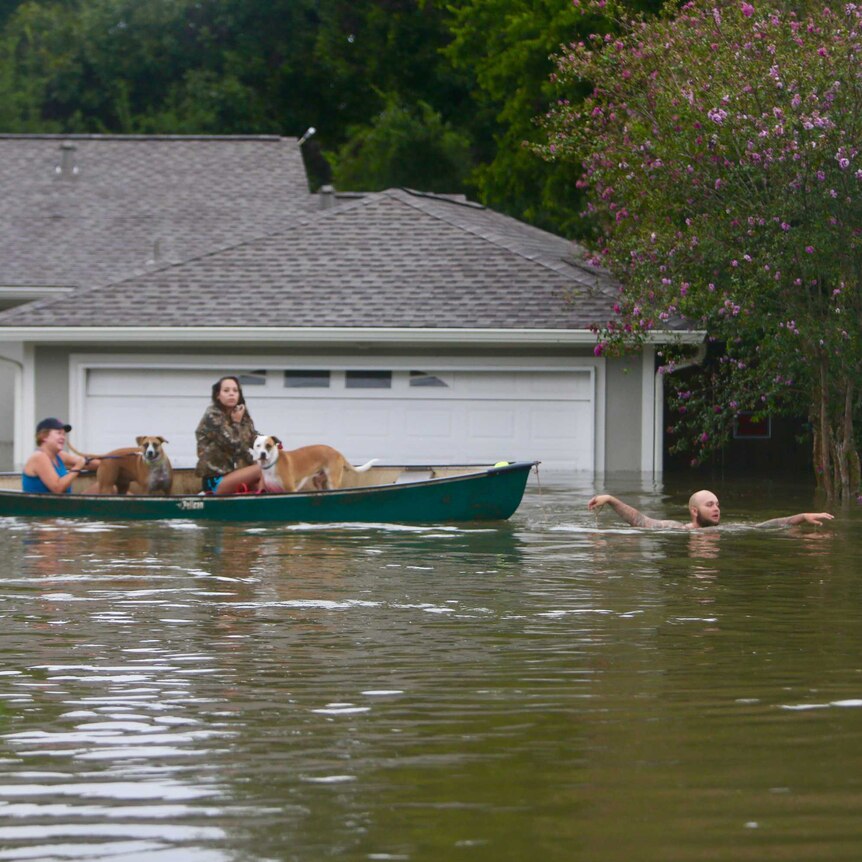 A man pulls a boat loaded carrying two dogs and two women through a flooded street