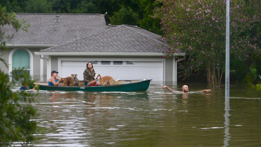 A man pulls a boat loaded carrying two dogs and two women through a flooded street