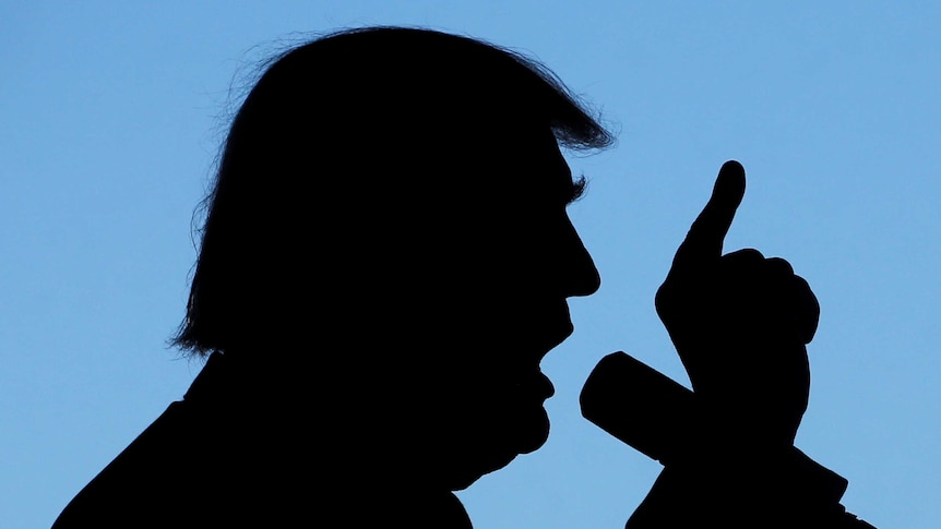 A silhoutte of then presidential candidate Donald Trump at a campaign rally against a blue sky