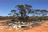 Rubbish dumped on land between Renmark and Cooltong, South Australia