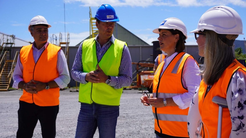 Two middle-aged men talk with two middle-aged women in hard hats & building site bibs on sunny day.