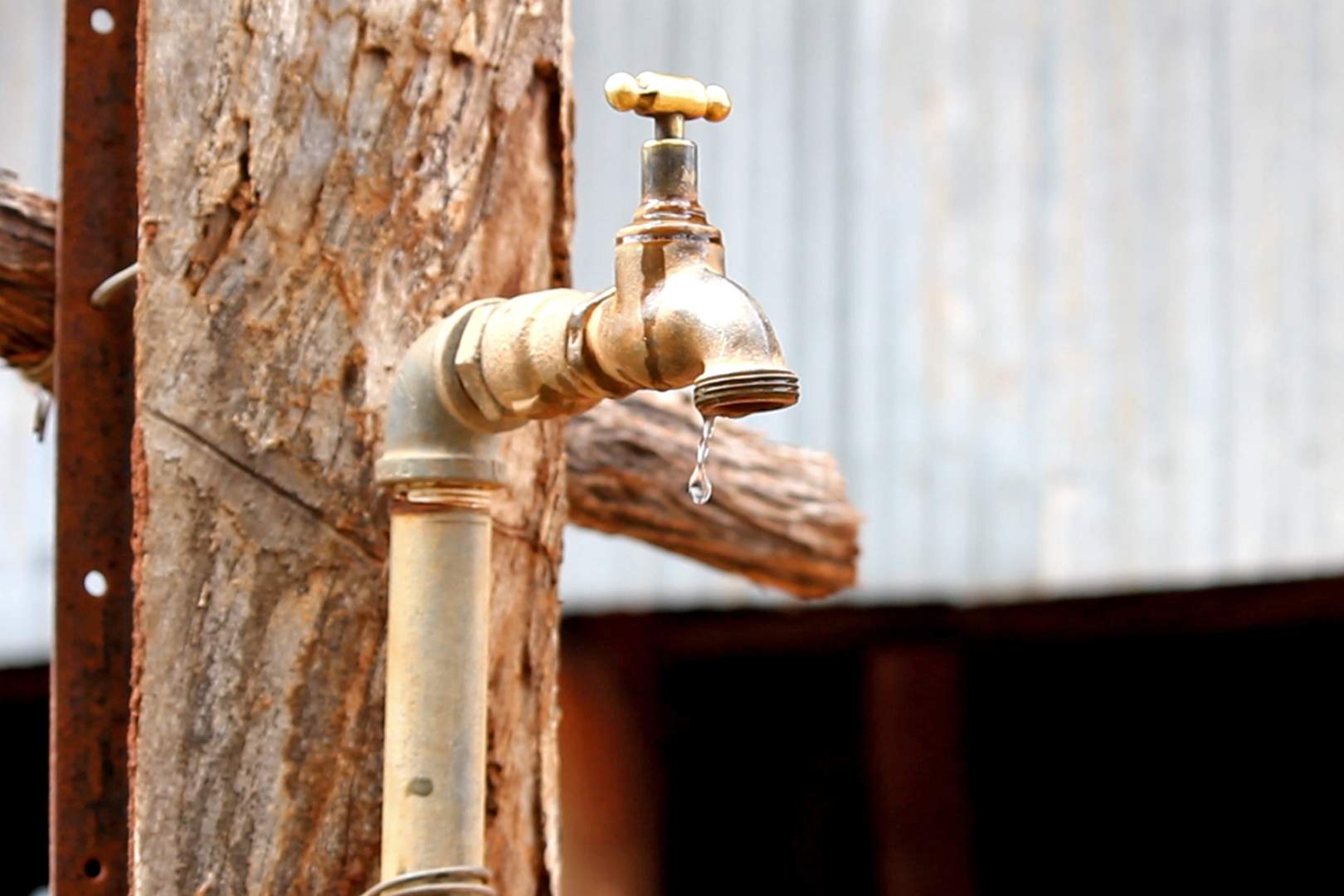 A tap fixed to a rough wooden pole, drips