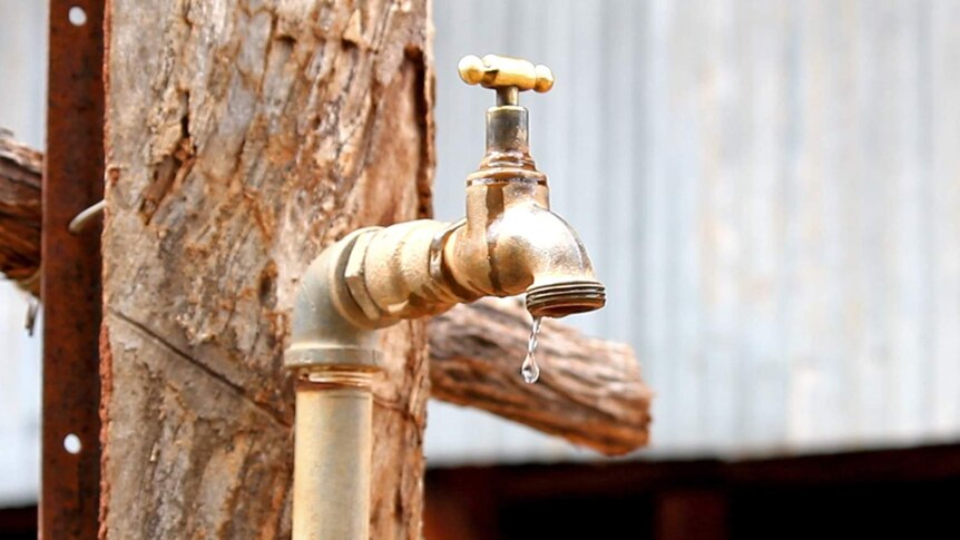 A tap fixed to a rough wooden pole, drips