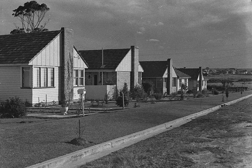 A row of houses in Birmingham Gardens taken in 1955.  