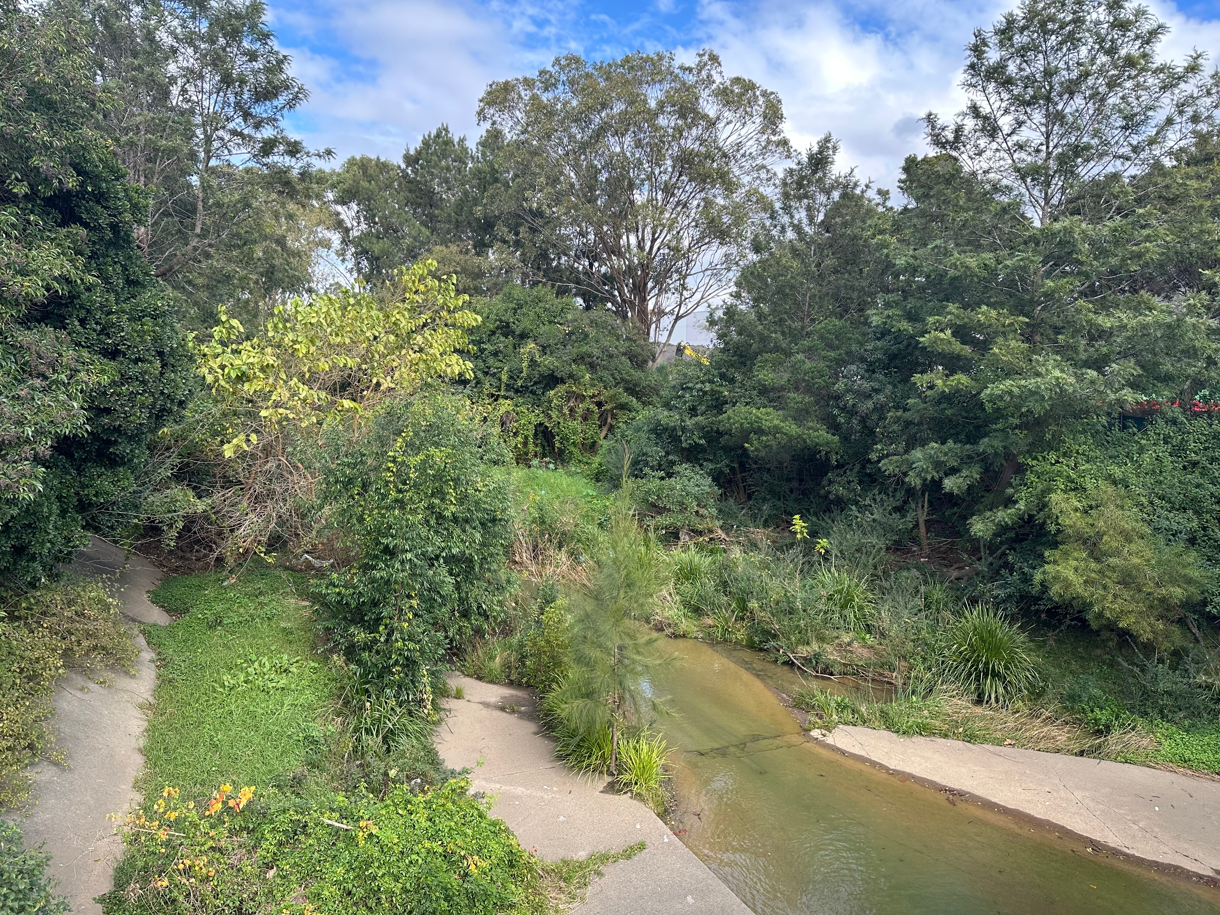 Grassy terrain near a creek bed.