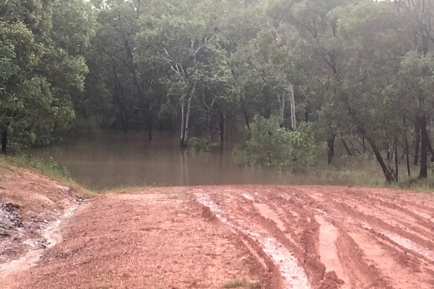 a flooded bush road.