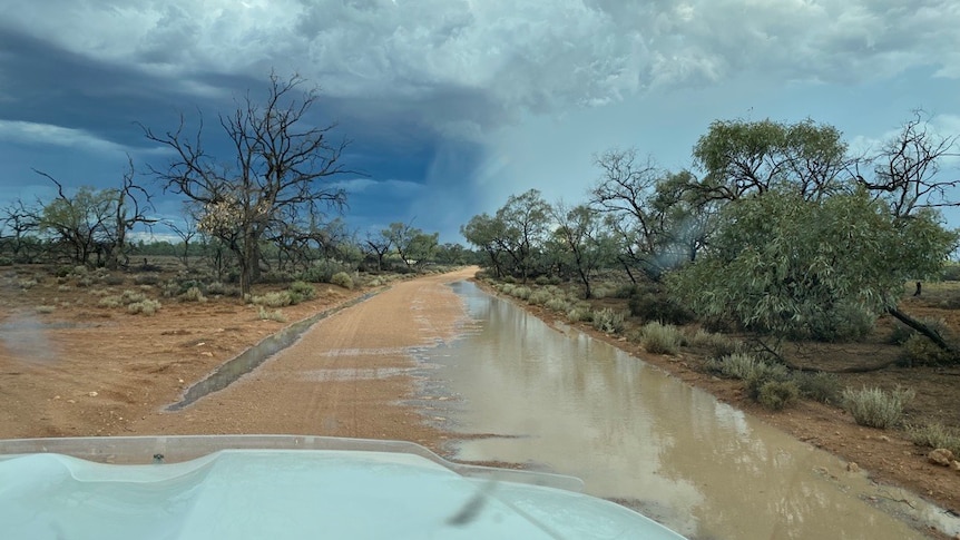 View from 4WD looking at puddles on an orange dirt road in the Riverland with Mallee scrub on the sides. 