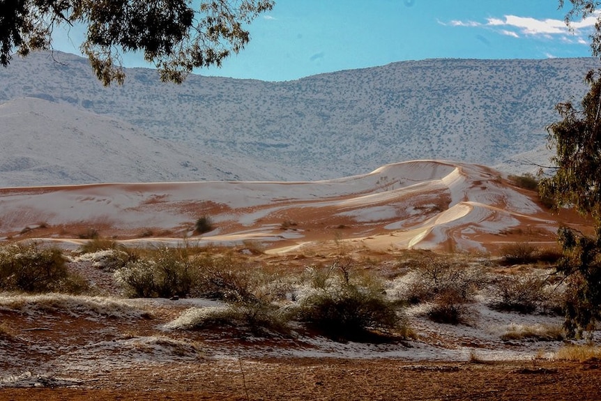 Snow fall on the sand dunes of the Sahara