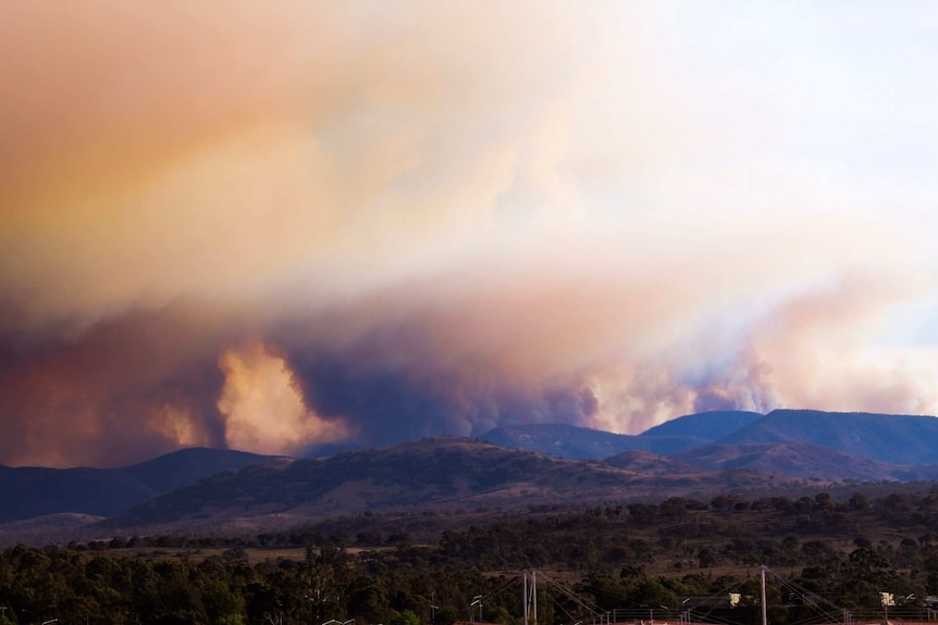 Smoke billows above ranges.