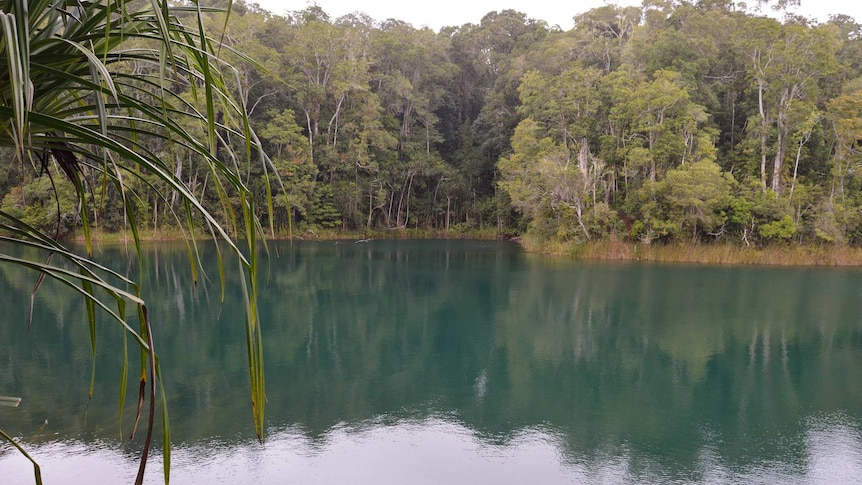 Lake Eacham, a volcanic lake in Queensland's Atherton Tablelands.