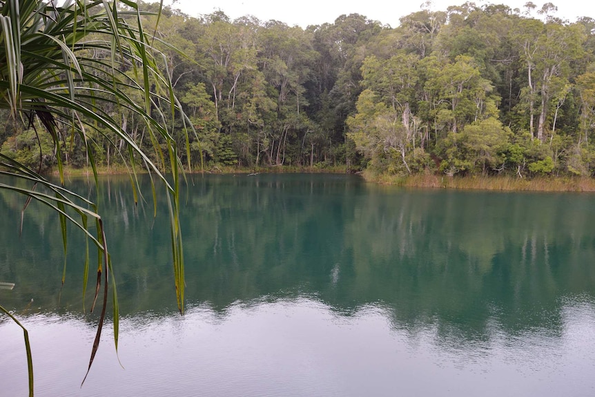 Lake Eacham, a volcanic lake in Queensland's Atherton Tablelands.