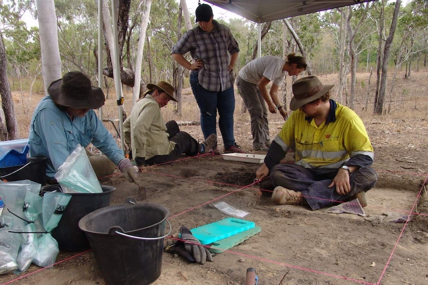 A team of archaeology researchers dig at a site on the Cape York Peninsula.