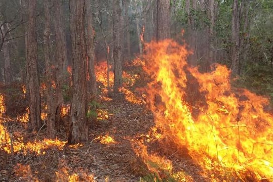Fire burns in Pottsville