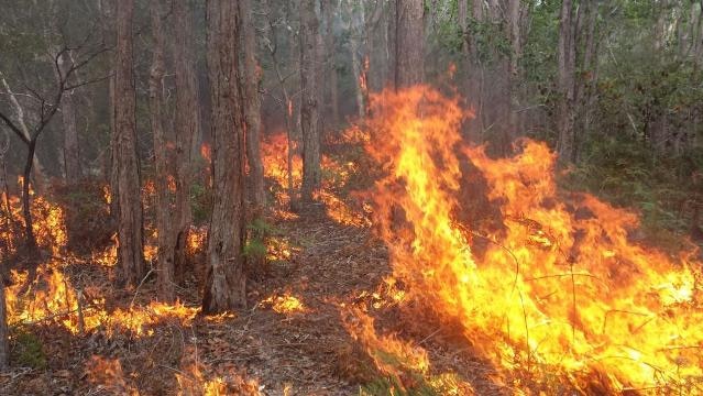 Fire burns in Pottsville