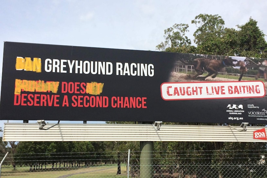 Defaced anti-greyhound racing billboard