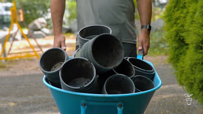Man pushing wheelbarrow filled with black plastic pots