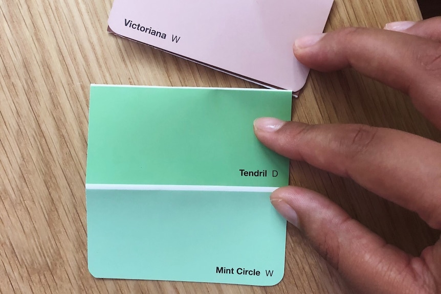 A brown hand holds two cards, one with two light green paint samples, the other with a light pink sample. 