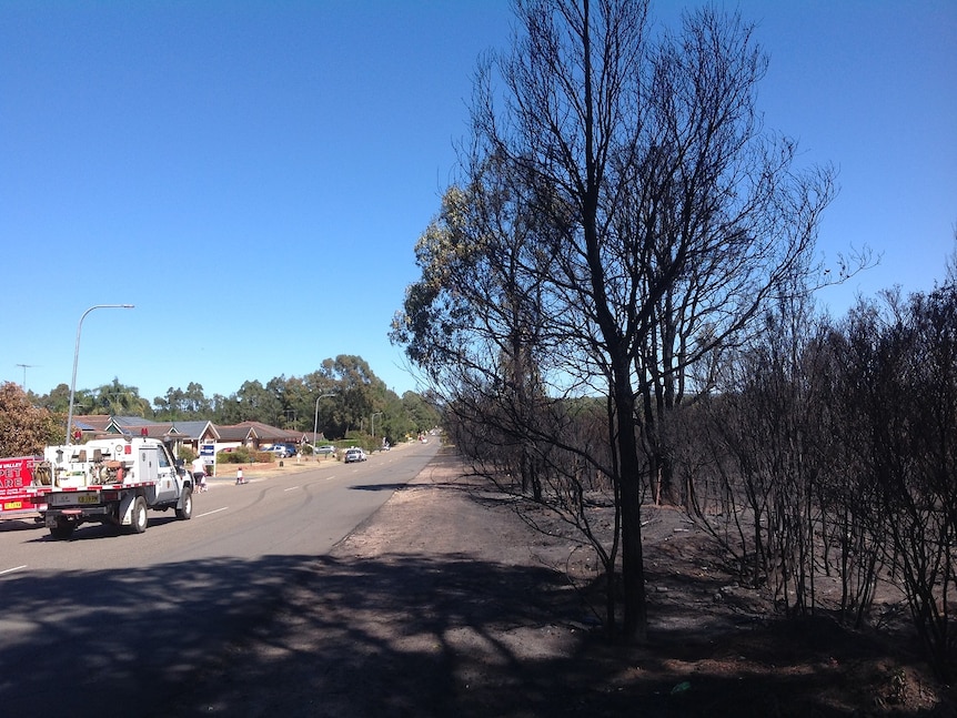 Burnt out bush at Cranebrook, western Sydney