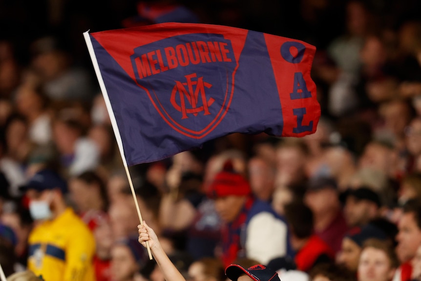 A blue and red Melbourne Demons flag is waved in the stands at an AFL game by a fan.