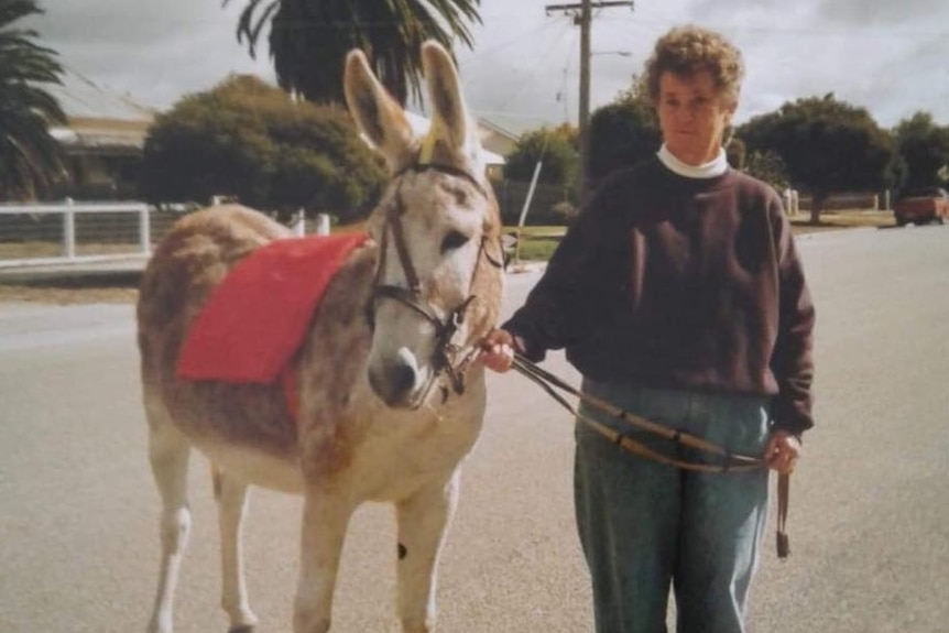 Woman standing with a donkey with a red towel on it.