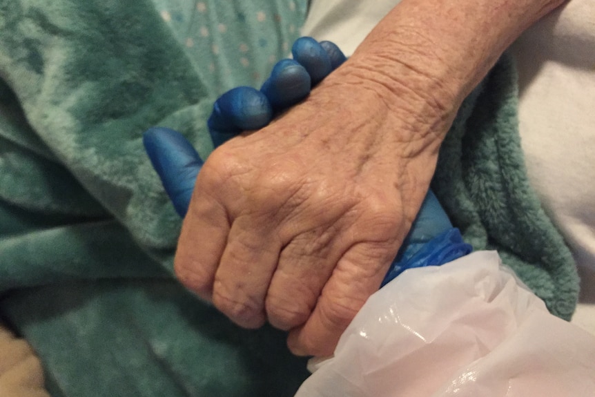 A close up of hands holding, one in a blue rubber glove.