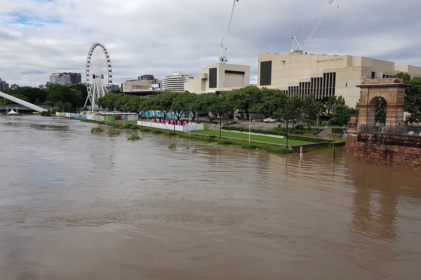 A swollen Brisbane River with Southbank in the background.