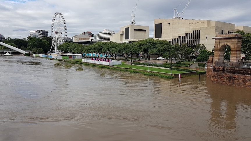 A swollen Brisbane River with Southbank in the background.