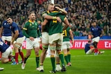 South African rugby players celebrate a try as French players stand dejected in the background.