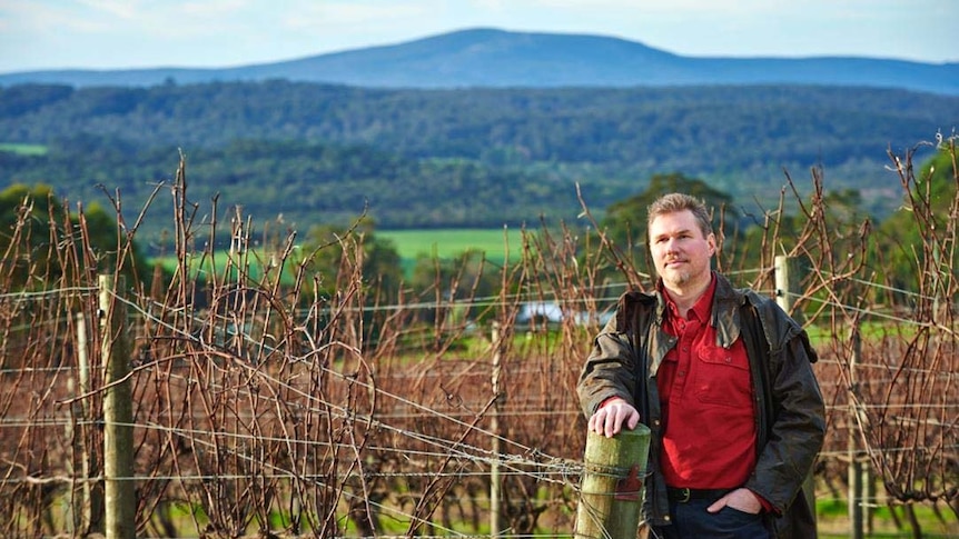 Great Southern Wine Producers Association chair Andrew Hoadley pictured in front of vineyards