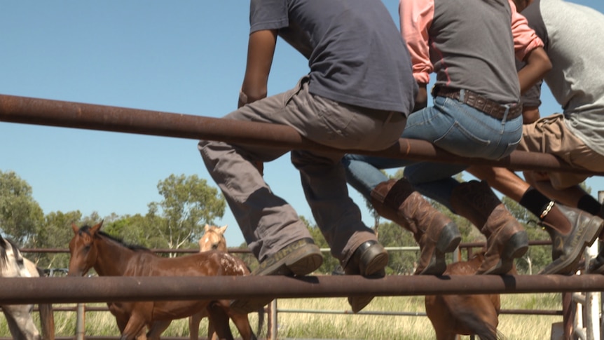A group of young Aboriginal people sit on a yard fence and watch horses running around a paddock.