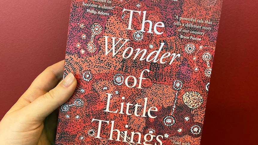 The Wonder of Little Things by Vince Copley and Lea McInerney. The text is white, and stands in contrast to a red dot painting