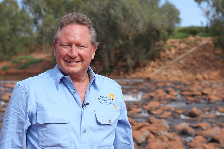 Andrew "Twiggy" Forrest stands in front of red bank of stones, a small stream is flowing over it. 