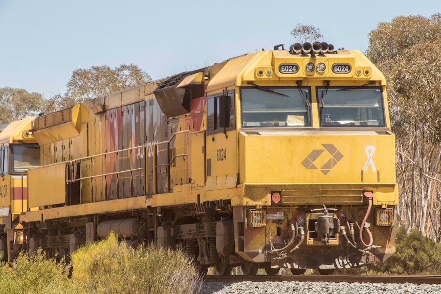 A yellow train locomotive passing between trees, ;light blue sky overhead.