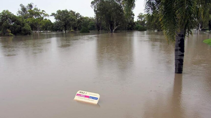 Floodwaters cover the golf course at Moree.