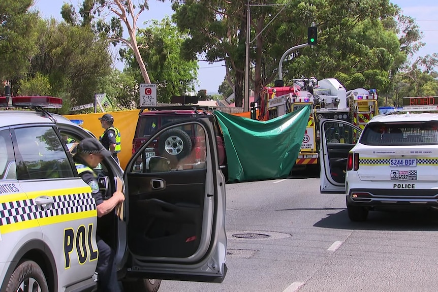 Police cars and people holding up a green tarp on a road