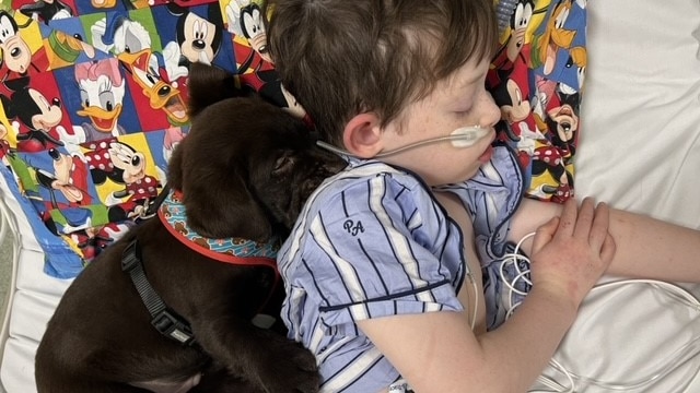 Elton is a very little puppy and is hugging Charlie, who sleeps with a breathing tube.