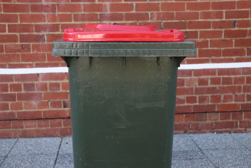 A generic photo of a red rubbish bin pictured against a brick wall