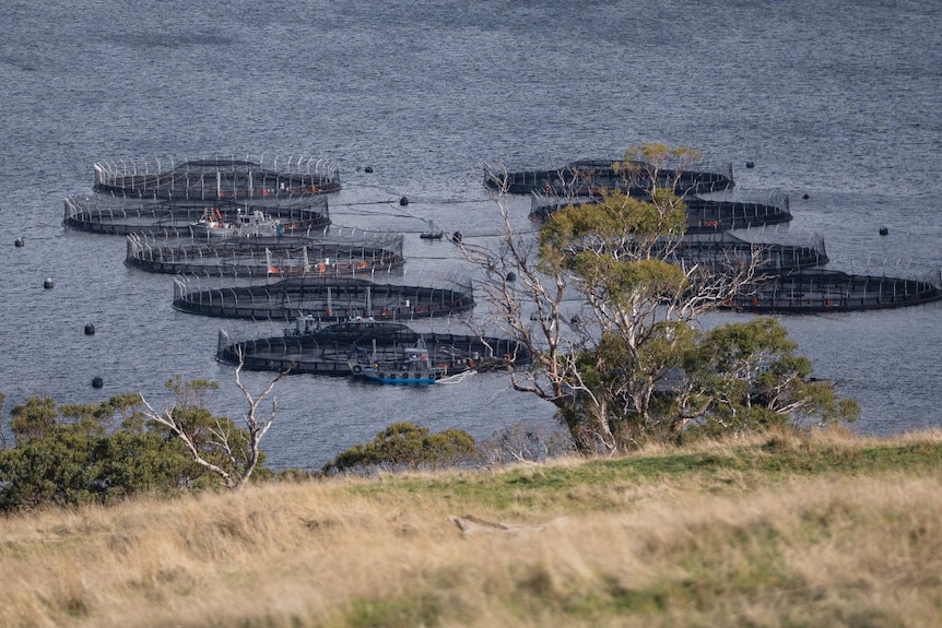 Fish pens in a bay