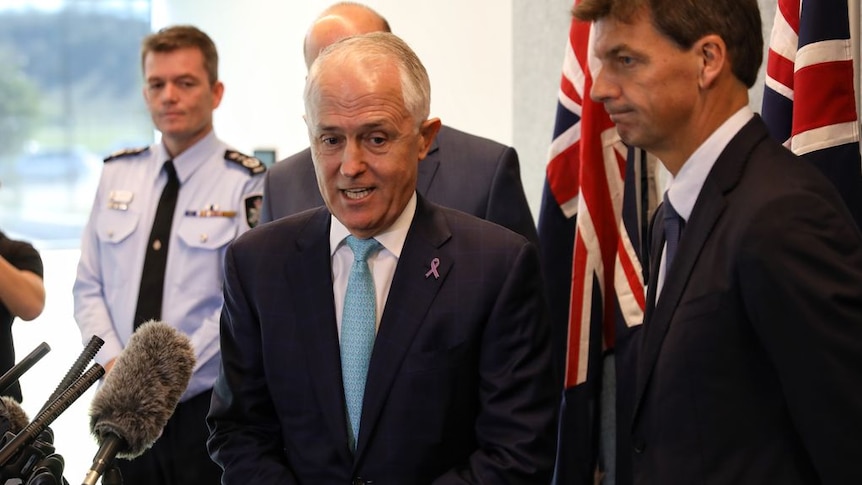 Malcolm Turnbull looks animated while speaking to reporters. He is surrounded by Australian flags.